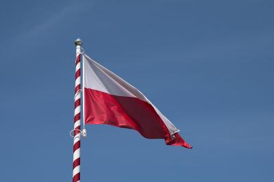 Bezpieczeństwo Oleśnica - Zdjęcie podglądowe artykułu