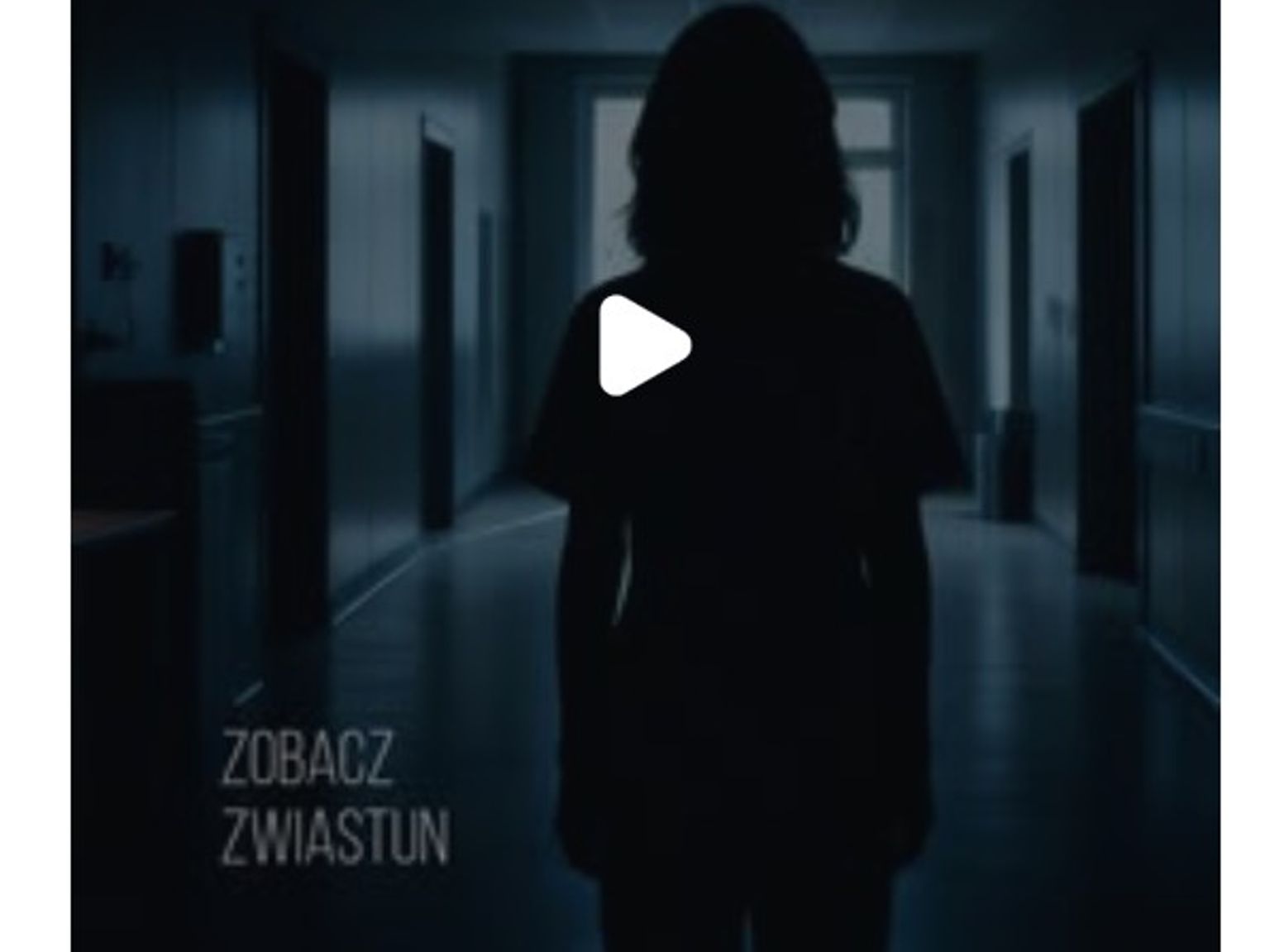 Oleśnica. Nowy materiał w sieci otwiera pytania o przyszły proces - Zdjęcie artykułu